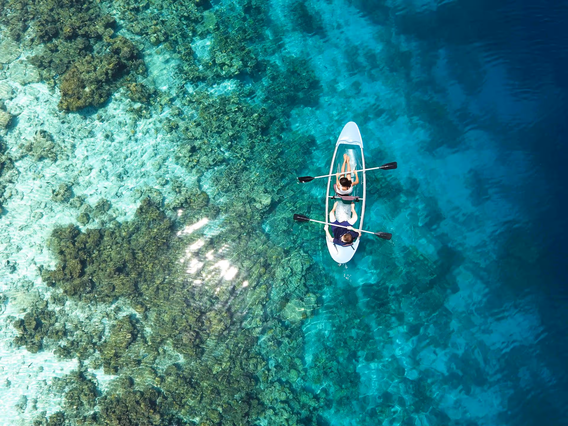 boat on the sea