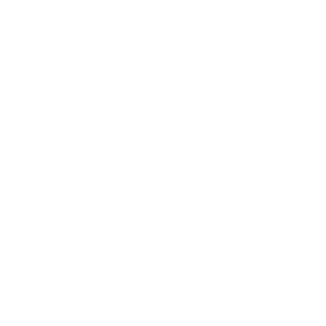 Online and high street shopping discounts